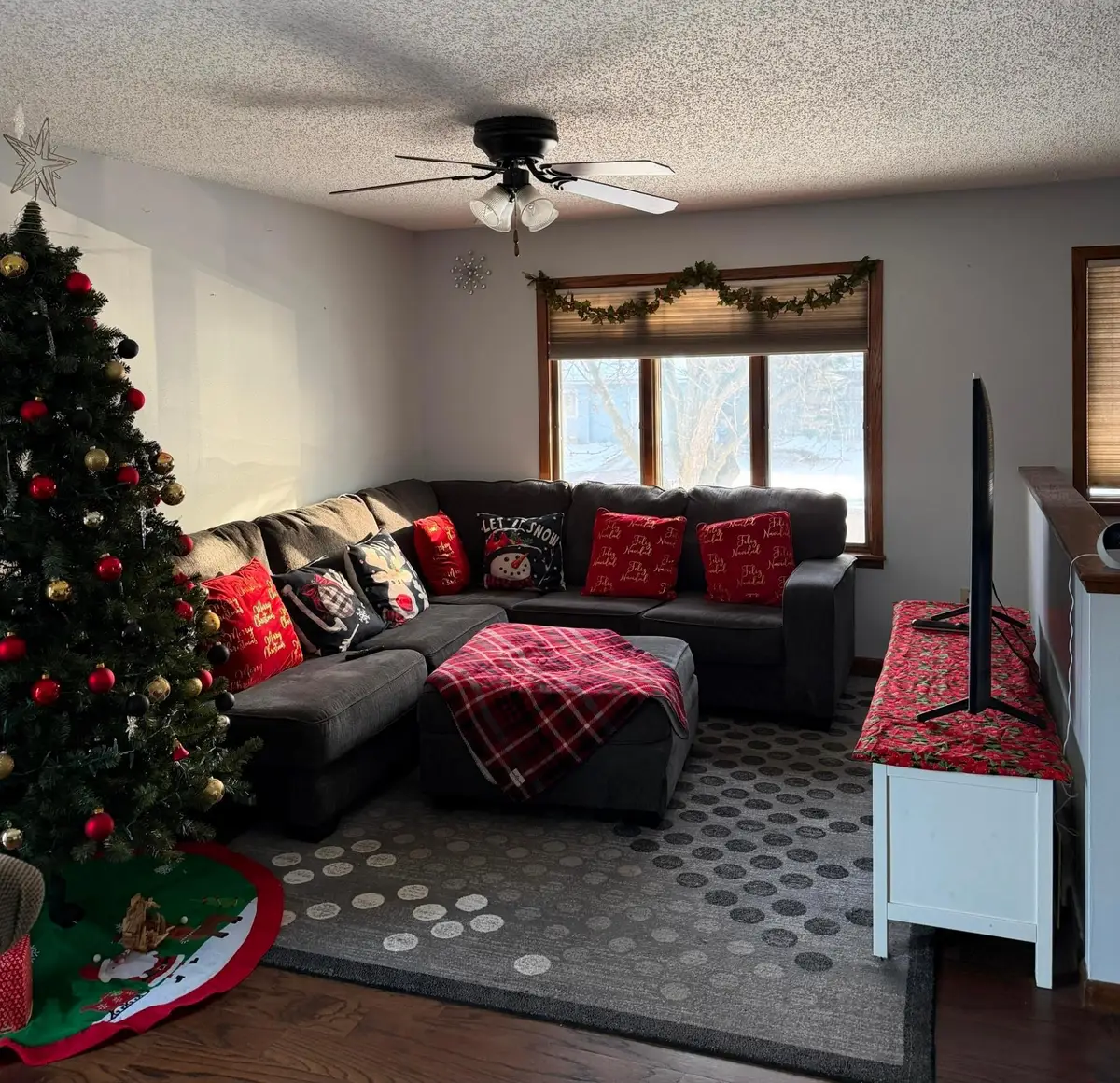 301 Aster Drive, Northfield, MN 55057 - #1