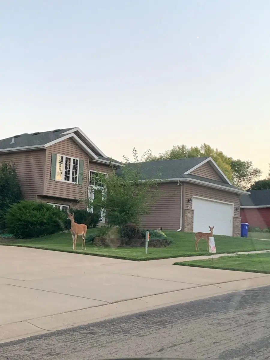 4408 6th Street Nw, Rochester, MN 55901 - #2