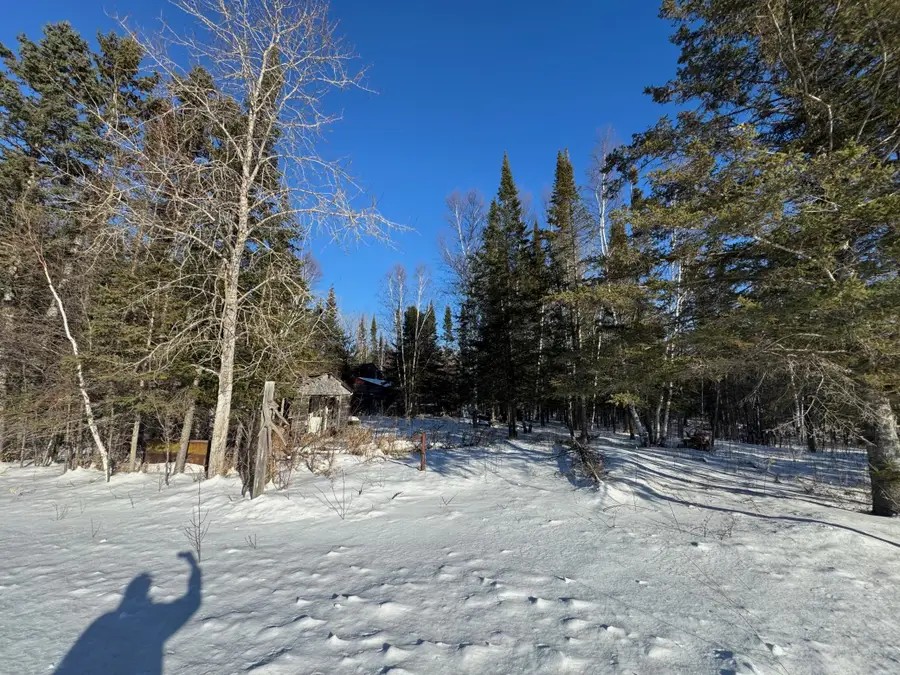 28390 Hornet Road Ne, Blackduck, MN 56630 - #3