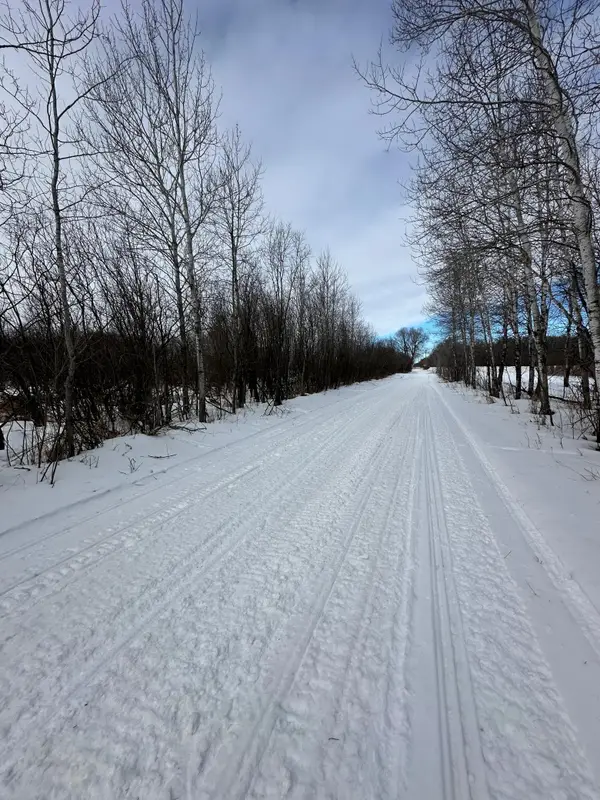 TBD Co Rd 66 Ne, Miltona, MN 56446