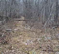 15057 Canyon Way, Pine City, MN 55063 - #2