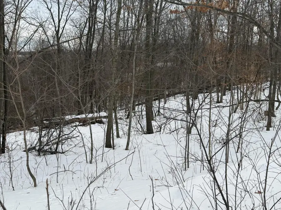 TBD 180th Avenue, Balsam Lake, WI 54810 - #2