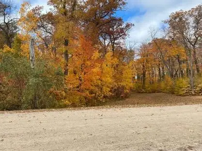 TBD Parview Lane Ne, Alexandria, MN 56308 - Image #2