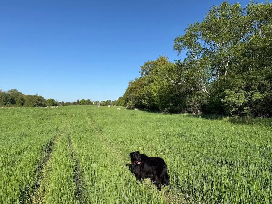 XXXXX Oxboro Ave N, Scandia, MN 55047 - #3