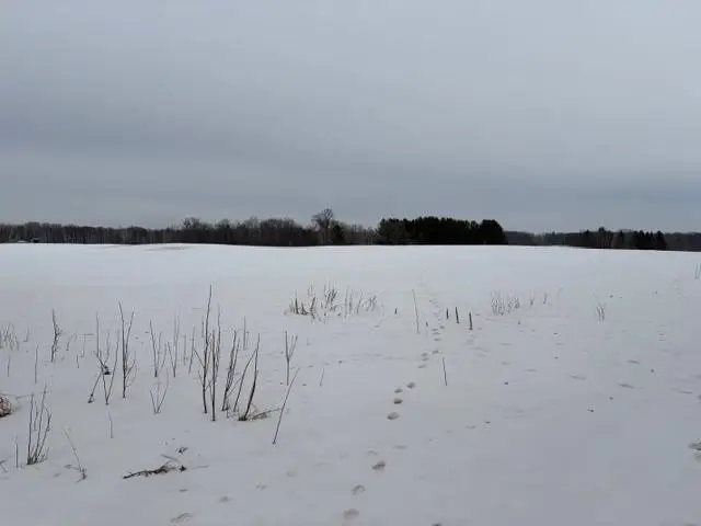 20XX Quail Street, Mora, MN 55051 - #1