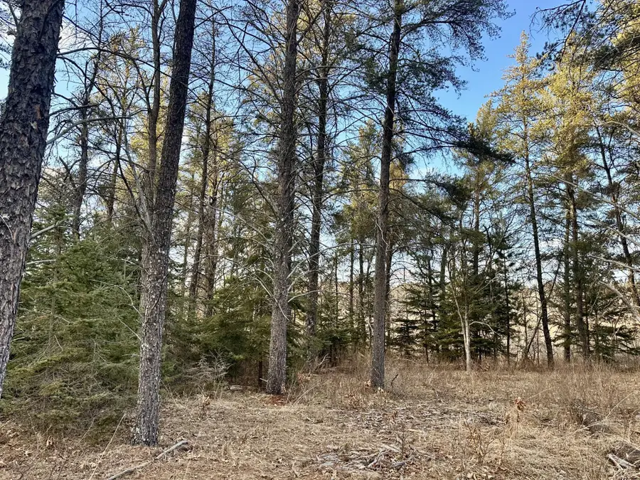 TBD E Blueberry River Dr, Menahga, MN 56464 - #3