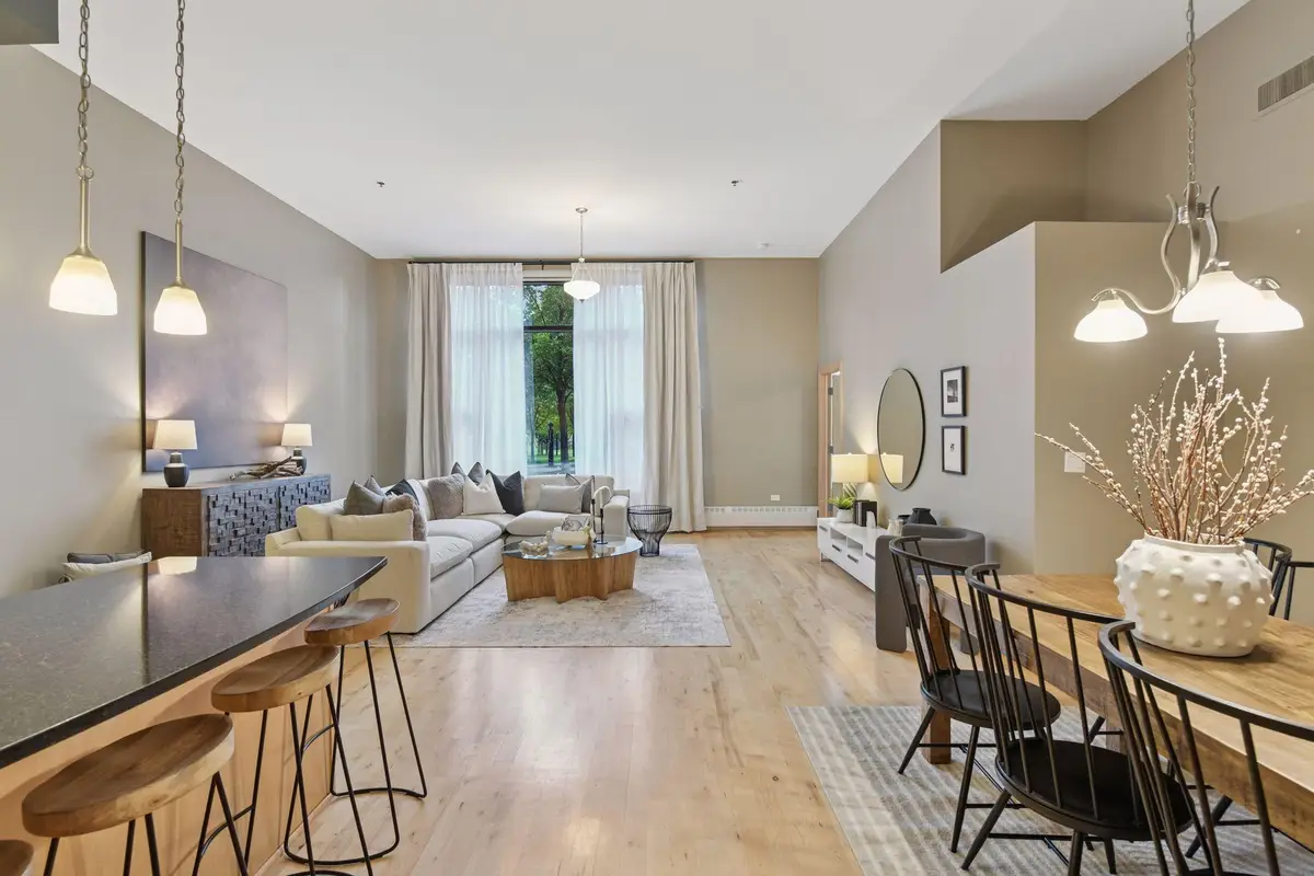 215 10th Avenue S #114, Minneapolis, MN 55415 - #1