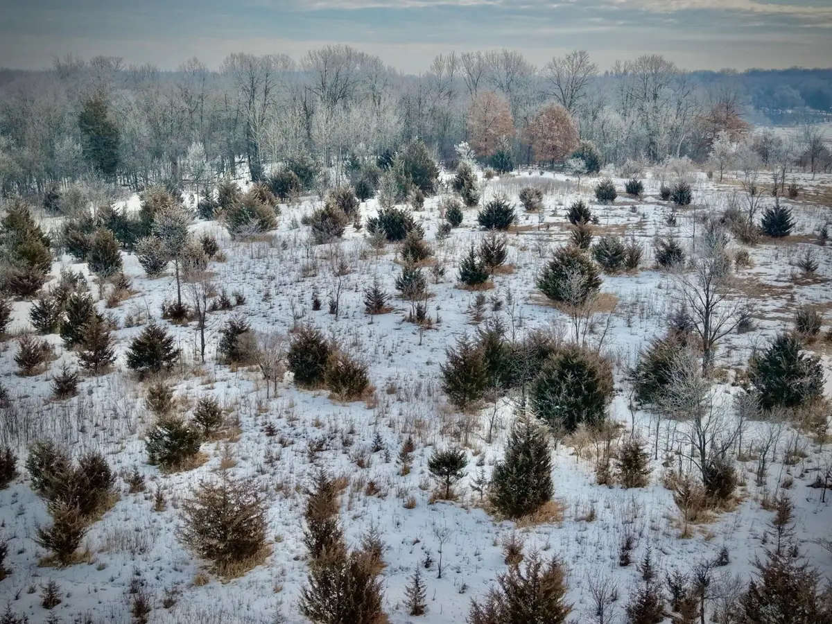 21423 Vergus Avenue, Prior Lake, MN 55372 - #1