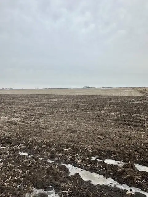 XXX 240th Street, Austin, MN 55912 - #2