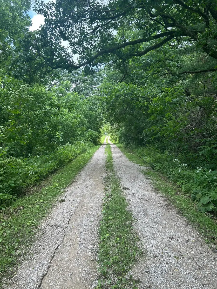 xxx Hwy. 52, Fountain, MN 55935 - #2