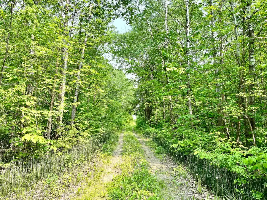 37551 County Road 126, Rochert, MN 56578 - #3