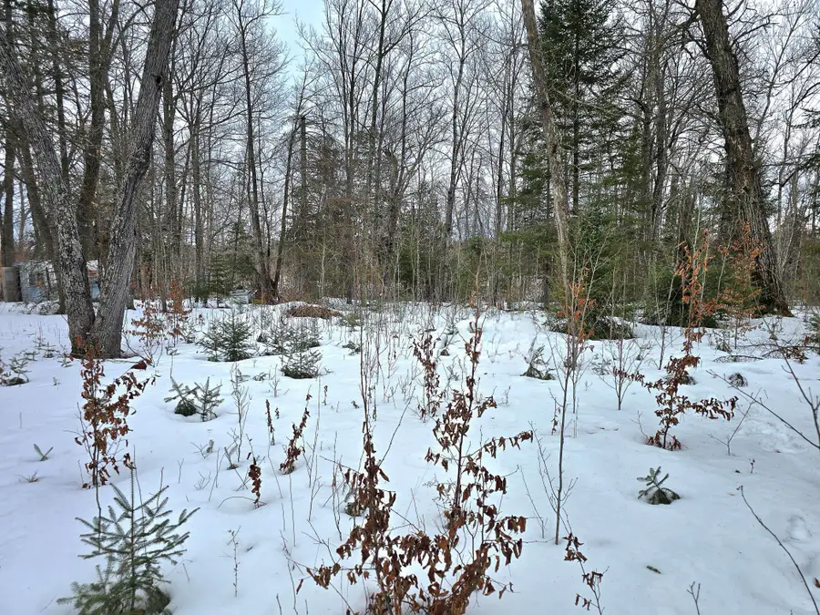 4988 32nd Avenue Ne, Remer, MN 56672 - #2