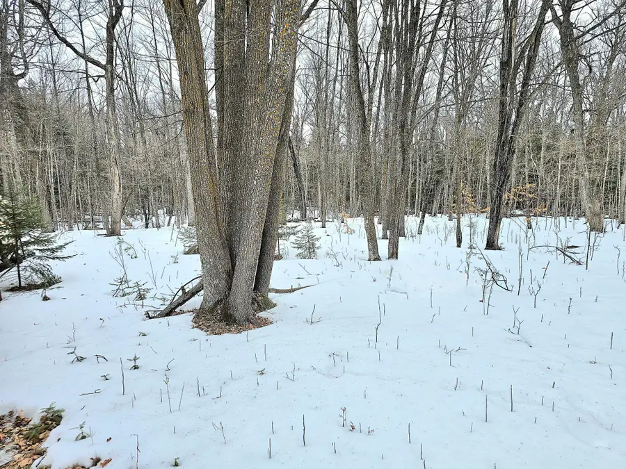 4988 32nd Avenue Ne, Remer, MN 56672 - #3