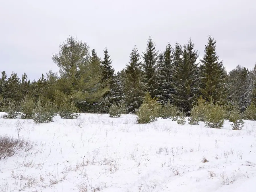 XXX 170th Street, Park Rapids, MN 56470 - #3