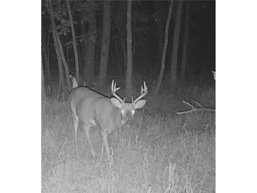 Lot 5 Butternut Road, Brainerd, MN 56401 - #3