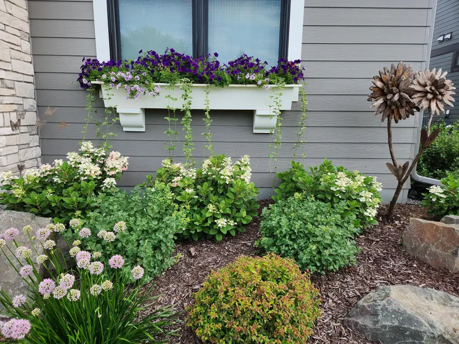 11472 Sunflower Lane N, Lake Elmo, MN 55042 - #3