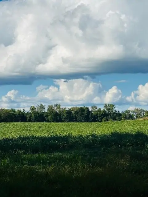 8XXX Rushseba Trail, Rush City, MN 55069