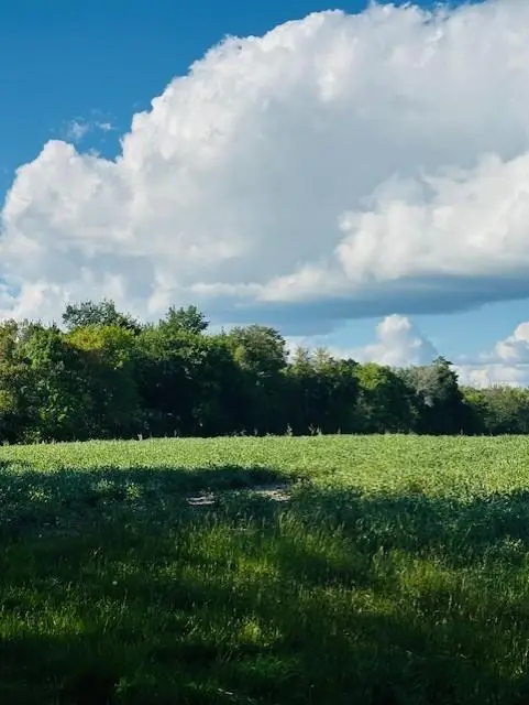 8XXX Rushseba Trail, Rush City, MN 55069 - #2