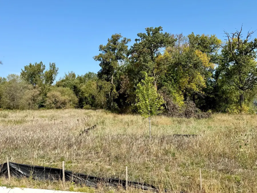 23368 Saddle Ridge Drive, Rogers, MN 55374 - #2