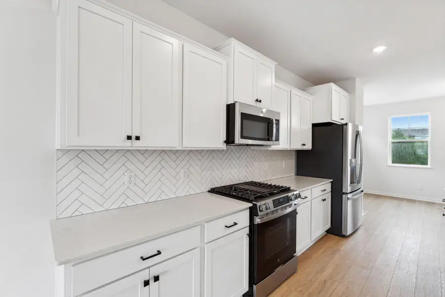 14576 Rhinestone Terrace Nw, Ramsey, MN 55303 - #2