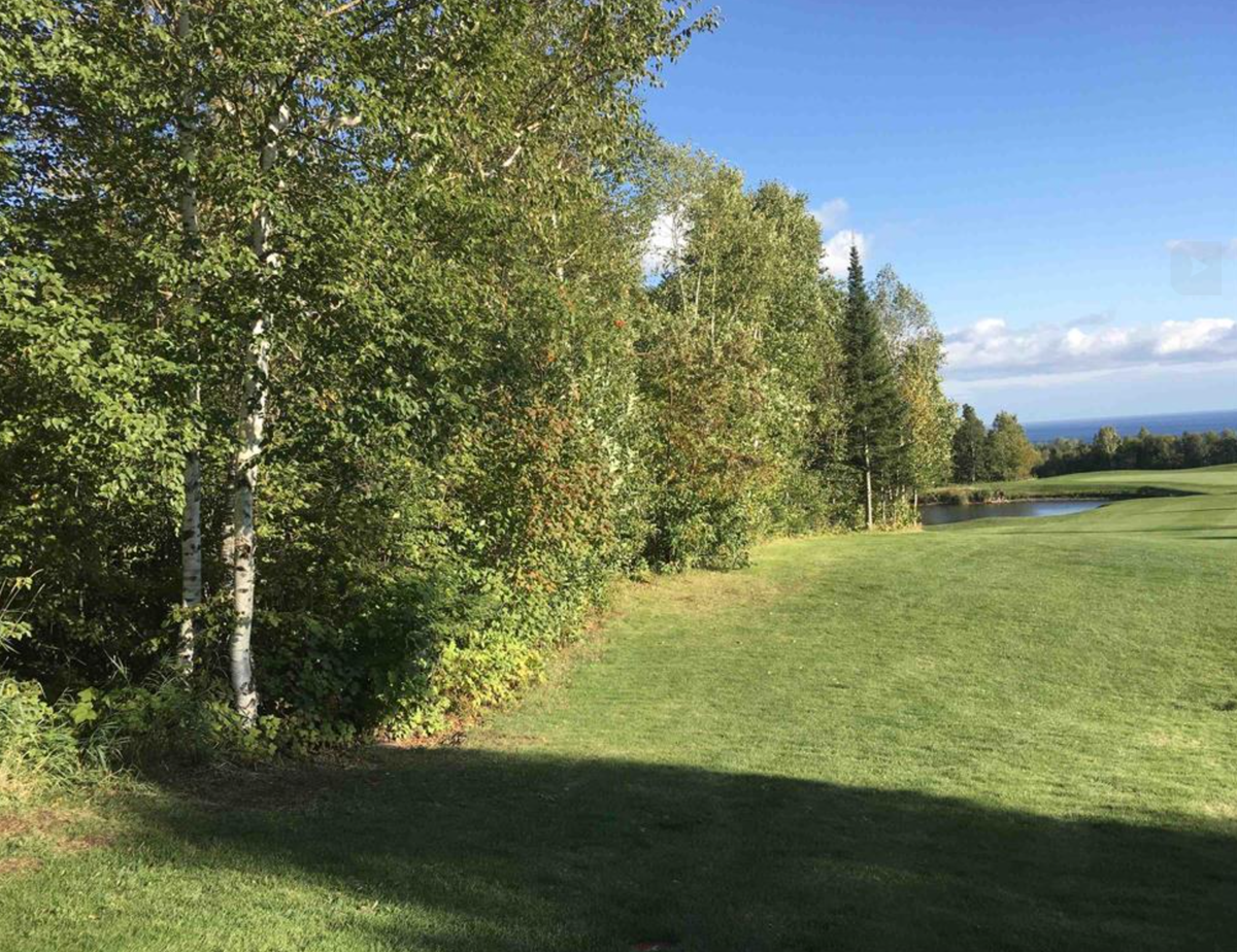 XXX Big Cedar Trl, Lutsen, MN 55612 - #1