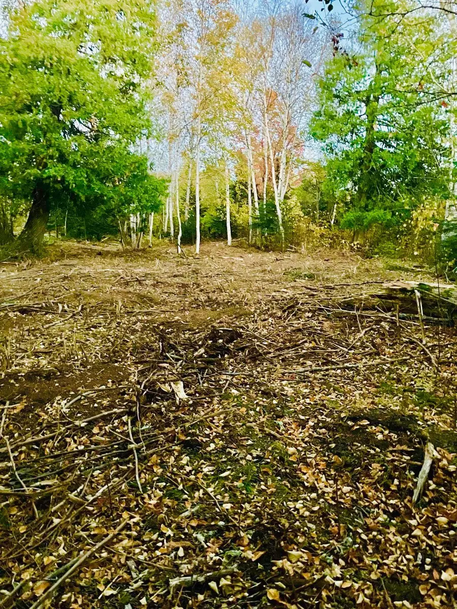 XXX Big Cedar Trl, Lutsen, MN 55612 - #3