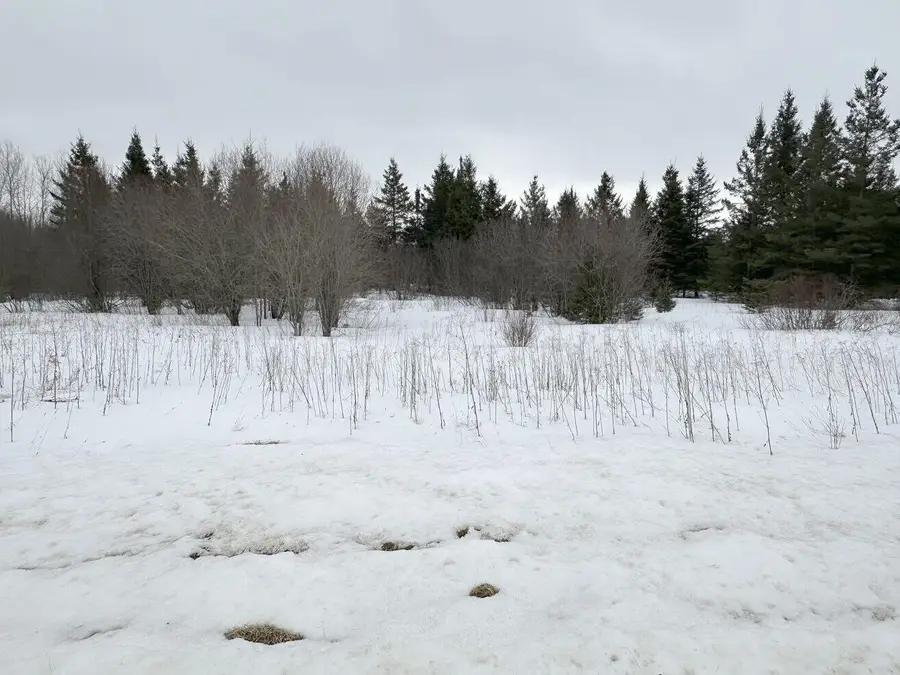 TBD County Road 31, Northome, MN 56661 - #2