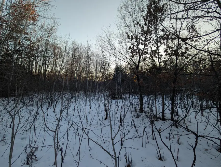 xxx Ormsbee Circle, Big Lake, MN 55309 - #3