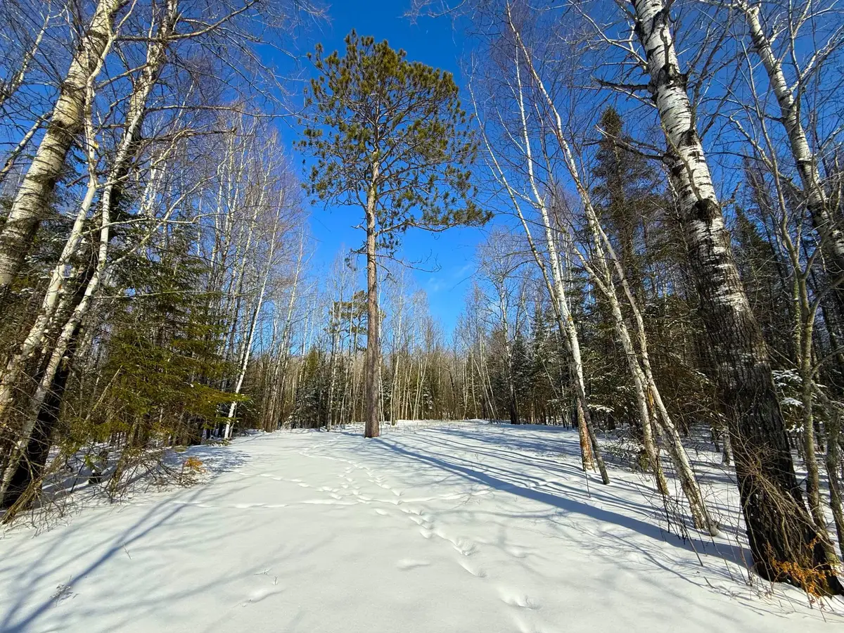72XXX E Central Lakes Road Lot C, Eveleth, MN 55734 - #1