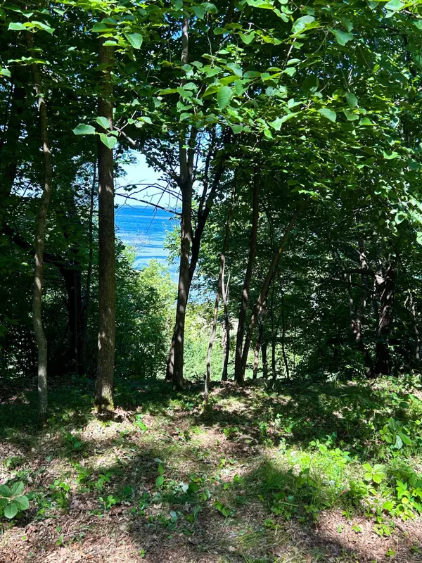 49137 360th Street, New York Mills, MN 56567