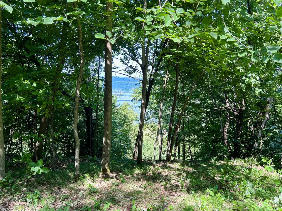 49137 360th Street, New York Mills, MN 56567 - #2