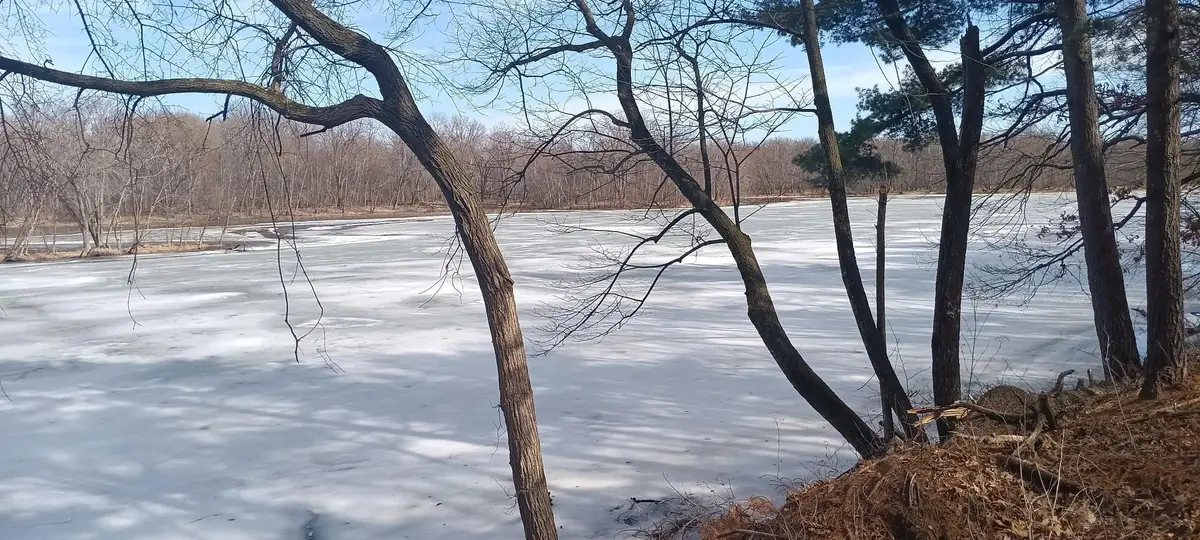 N4568 County Road N, Arkansaw, WI 54721 - #1