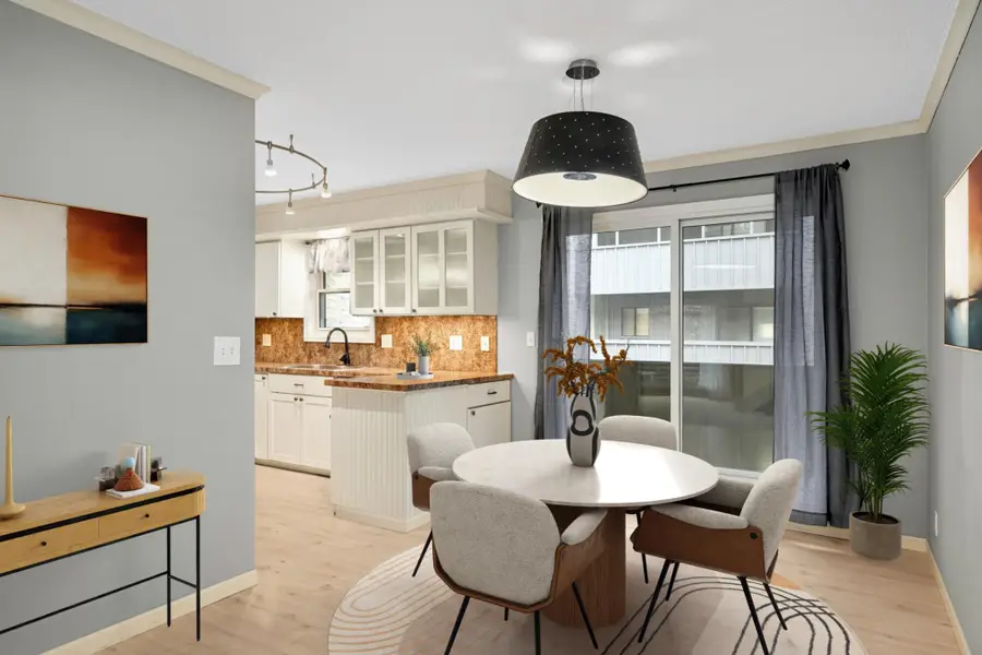 11450 Minnetonka Mills Road, Hopkins, MN 55305 - #3