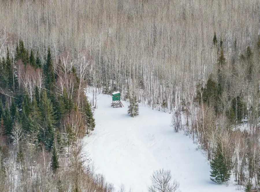 46509 County Road 172, Deer River, MN 56636 - #3