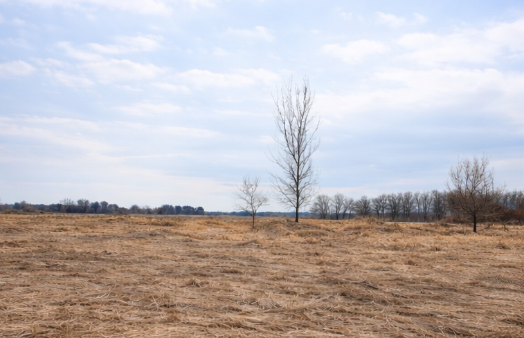 TBD 65th Street Ne, Sauk Rapids, MN 56379 - #3