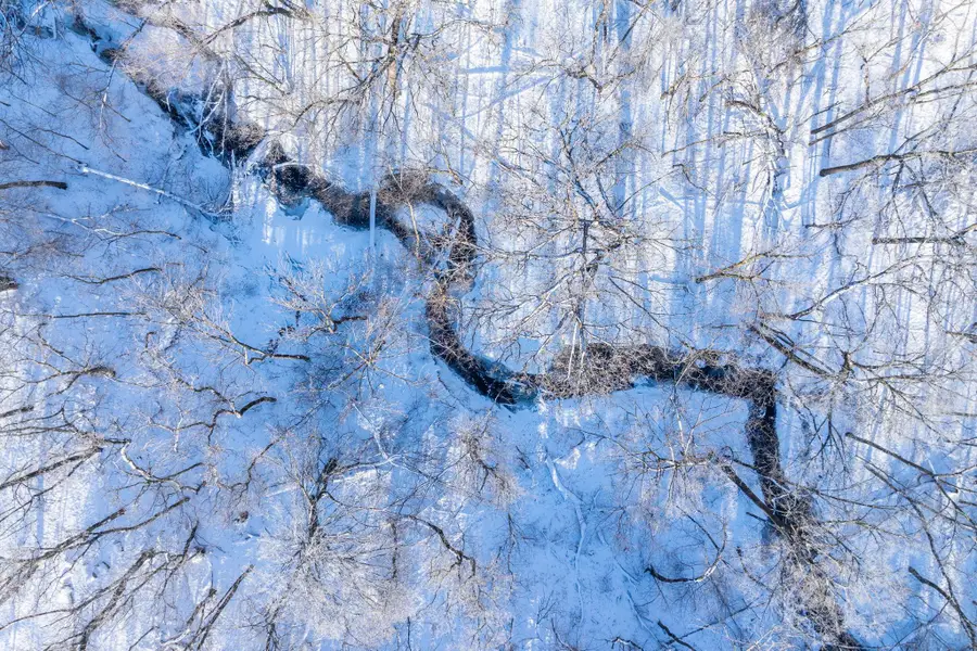 12295 Wilton Bridge Road, Waseca, MN 56093 - #2