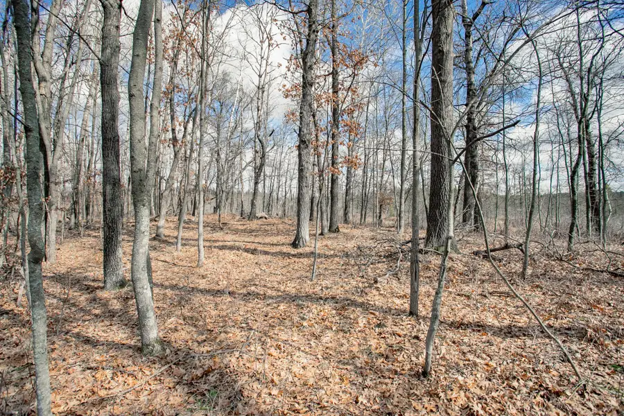 TBD Owl Lake, Siren, WI 54872 - #2