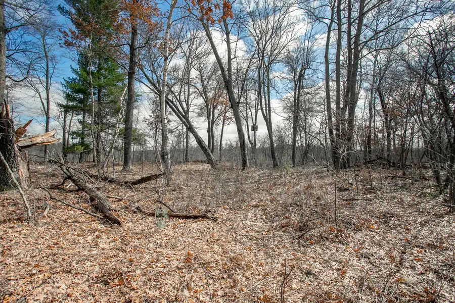 TBD Owl Lake, Siren, WI 54872 - #3