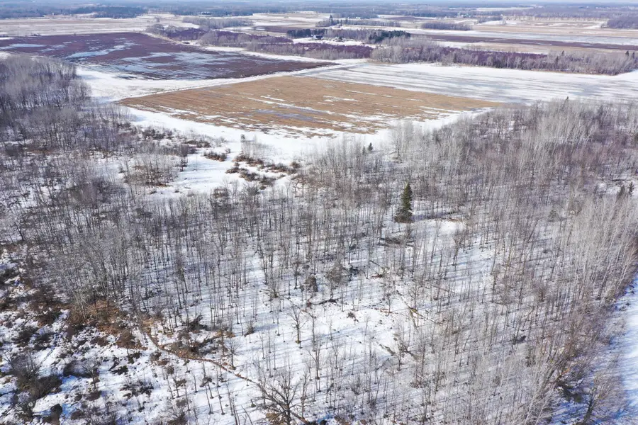 47691 635th Avenue, Sebeka, MN 56477 - #2