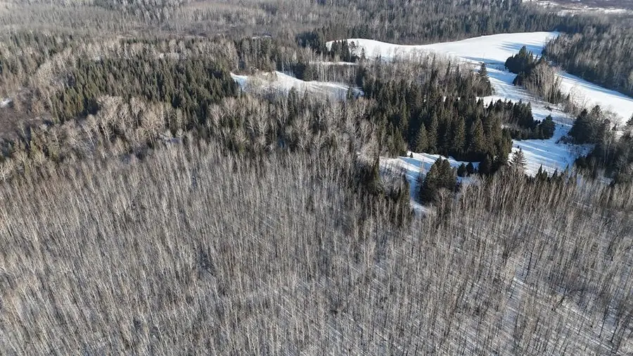 12905 Township Road D, Wawina, MN 55736 - #2
