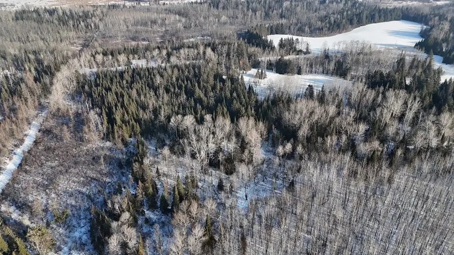 12905 Township Road D, Wawina, MN 55736 - #3