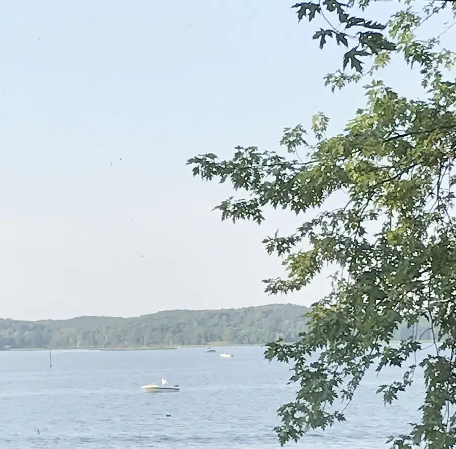 5579 320th Street, Cushing, MN 56443 - #2