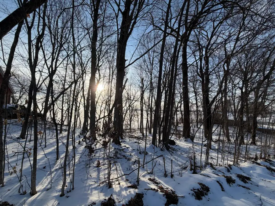 Lot 37&38 Earle Brown Drive, Garrison, MN 56450 - #2