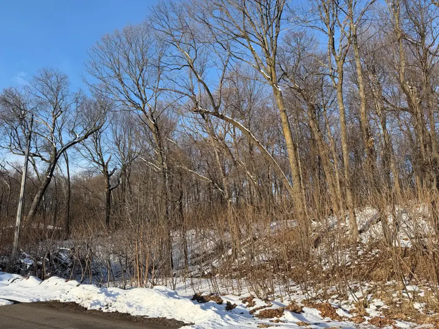 Lots 119 Earle Brown Drive, Garrison, MN 56450 - #3