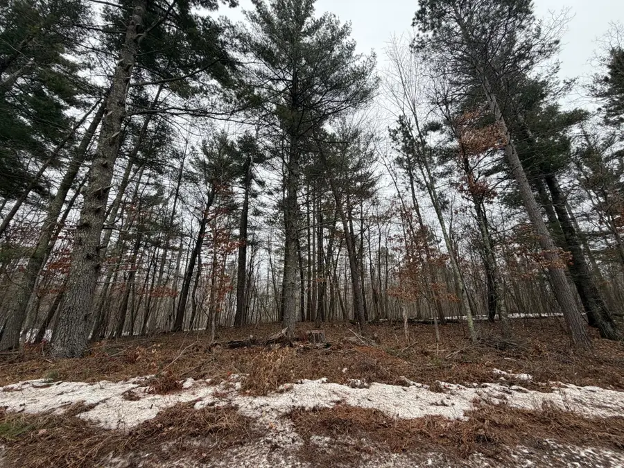 xxxxx County Rd H, Scott, WI 54830 - #2