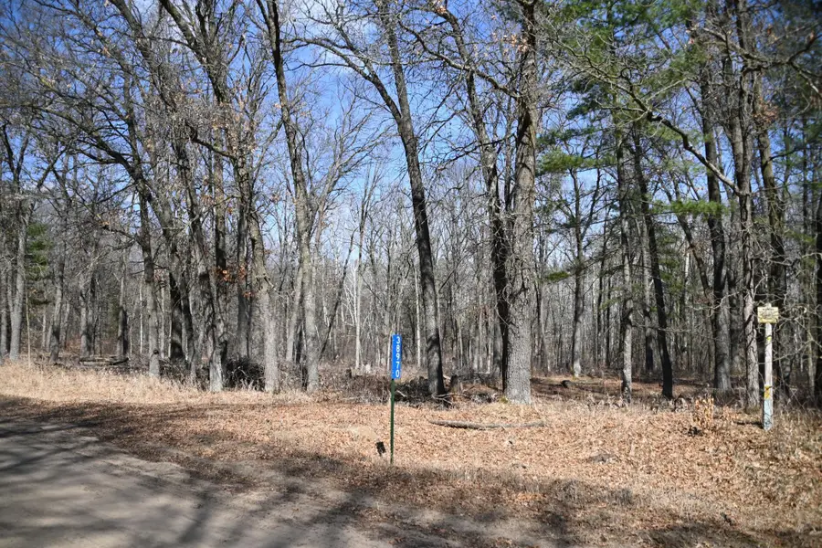 38970 Odin Court, Browerville, MN 56438 - #2