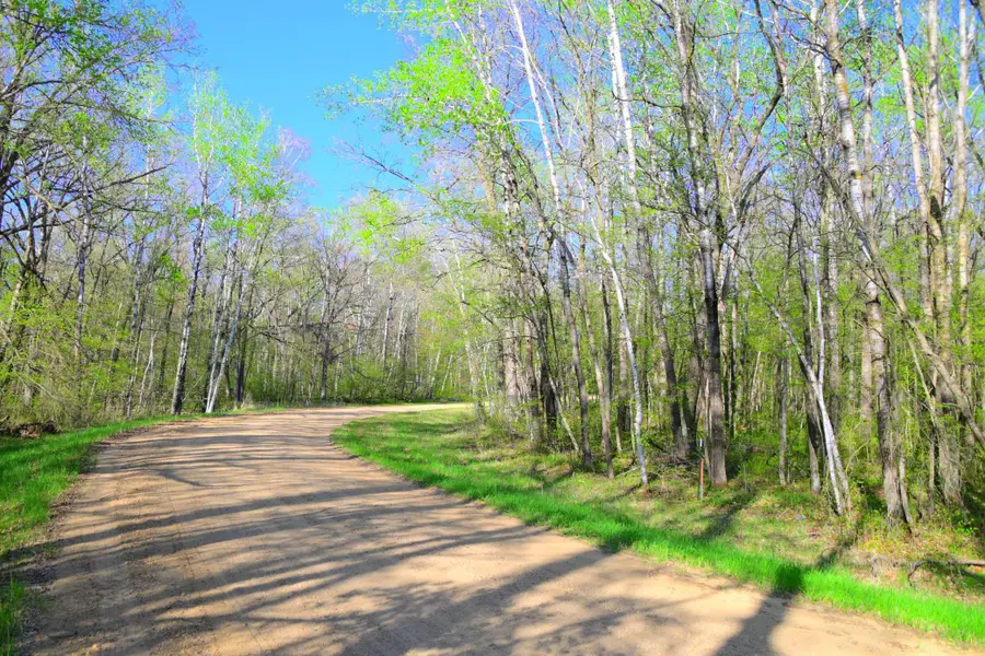 27152 Ode Circle, Browerville, MN 56438 - #2