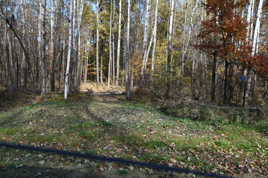 39924 Oriole Court, Browerville, MN 56438 - #2