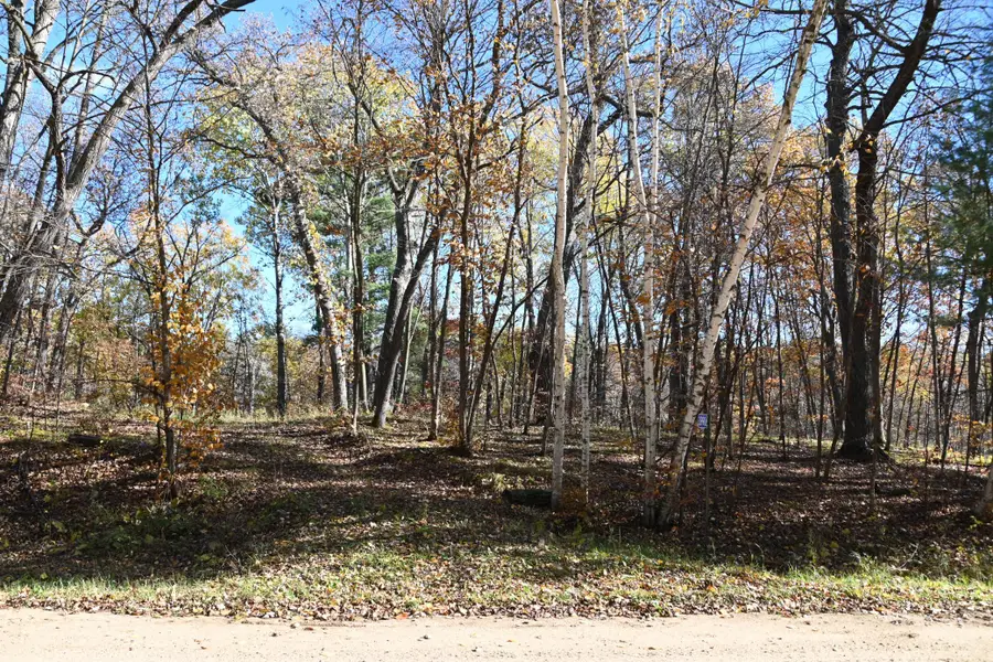 39906 Pine Island Pt Drive, Browerville, MN 56438 - #2