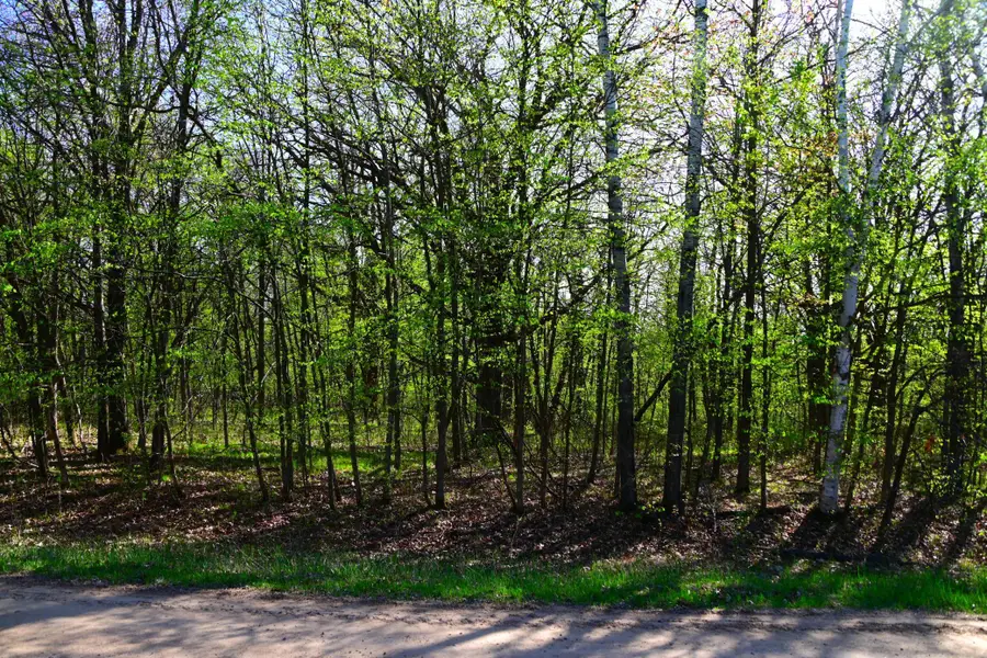 28329 Orchard Drive, Browerville, MN 56438 - #3